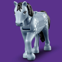 LEGO Friends paardrijdbasis in het bos 41683 